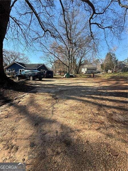 view of yard featuring dirt driveway