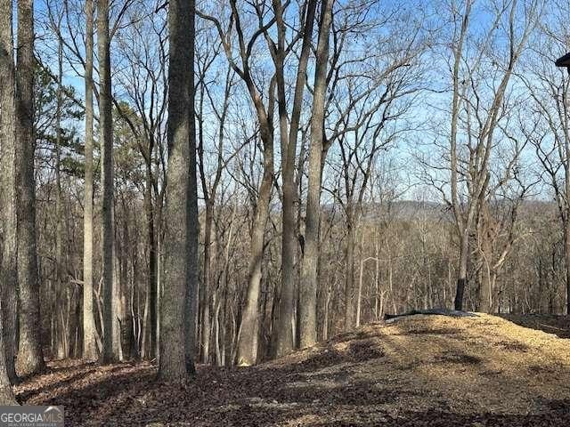 view of nature featuring a view of trees