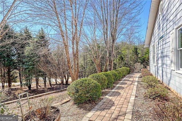 185 Starlight Dr, Sautee Nacoochee, GA 30571 - view of yard