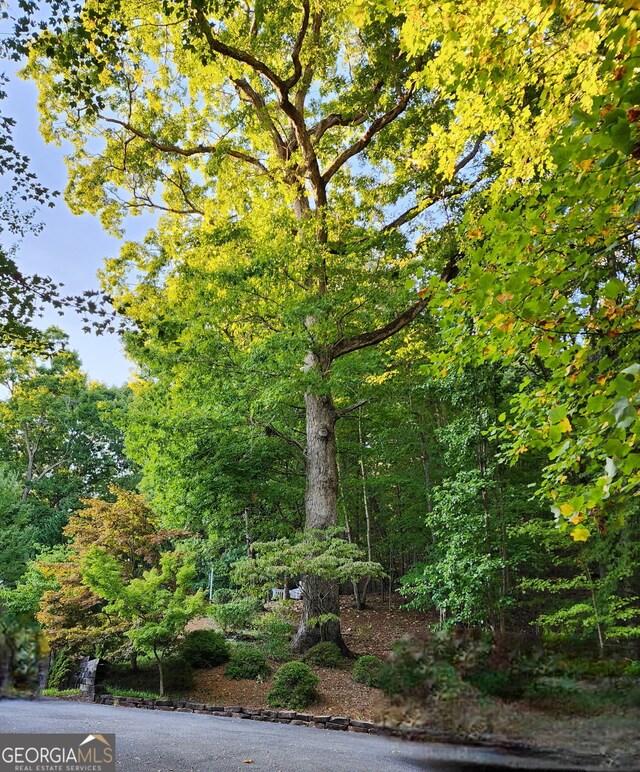 185 Starlight Dr, Sautee Nacoochee, GA 30571 - view of landscape featuring a wooded view