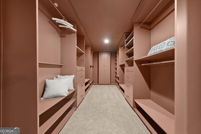 walk in closet featuring carpet flooring