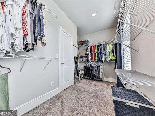 spacious closet with carpet floors