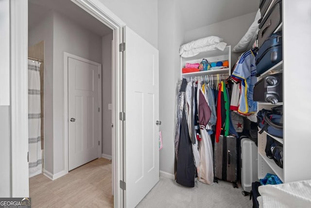 view of walk in closet