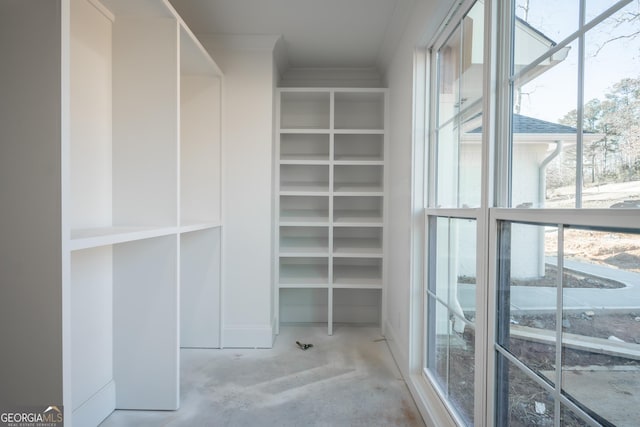 view of walk in closet