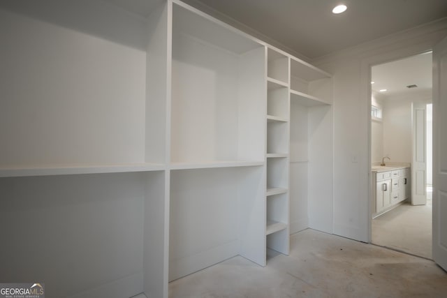 walk in closet with a sink