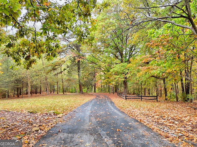 view of street with a forest view