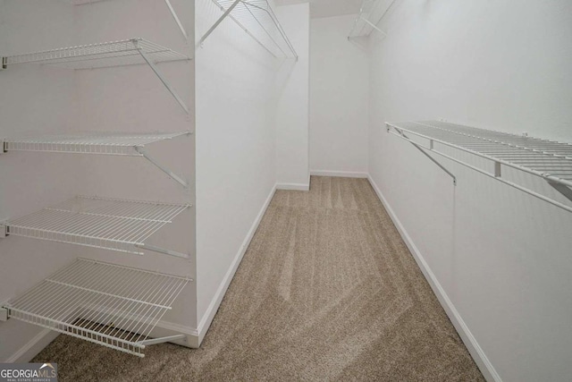 4570 Thicket Trl, Snellville, GA 30039 - walk in closet with light colored carpet