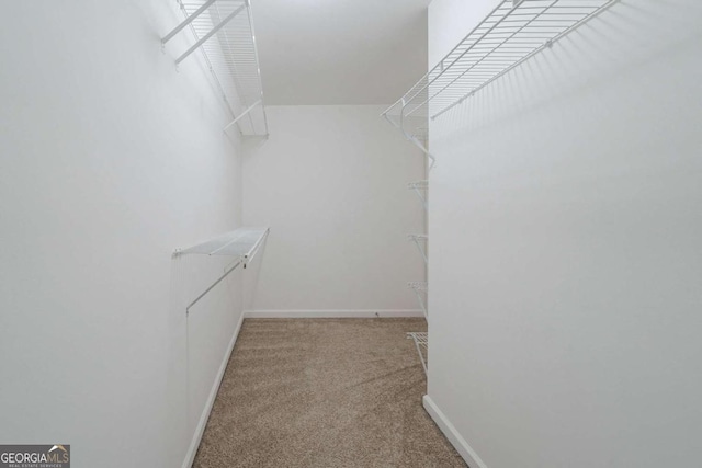 4570 Thicket Trl, Snellville, GA 30039 - walk in closet featuring light carpet