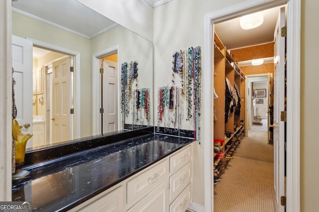 bathroom with ornamental molding