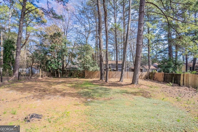 view of yard with a fenced backyard