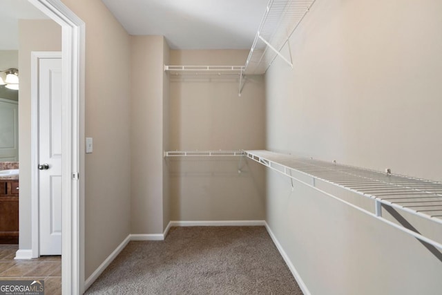 spacious closet with carpet