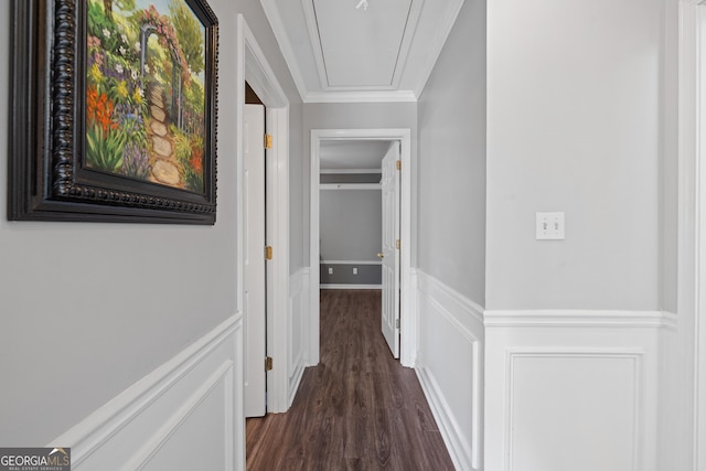 hallway with a decorative wall, dark wood-type flooring, wainscoting, attic access, and crown molding