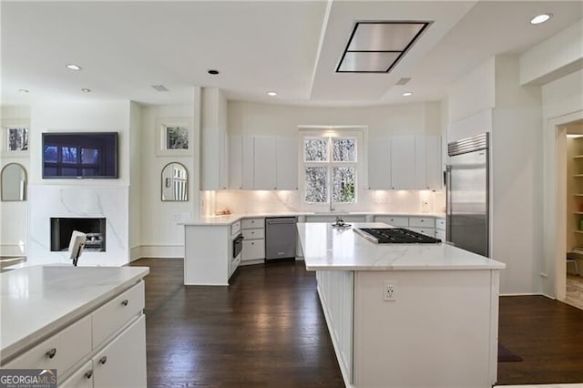 kitchen with dark wood-style floors, appliances with stainless steel finishes, a high end fireplace, and white cabinetry