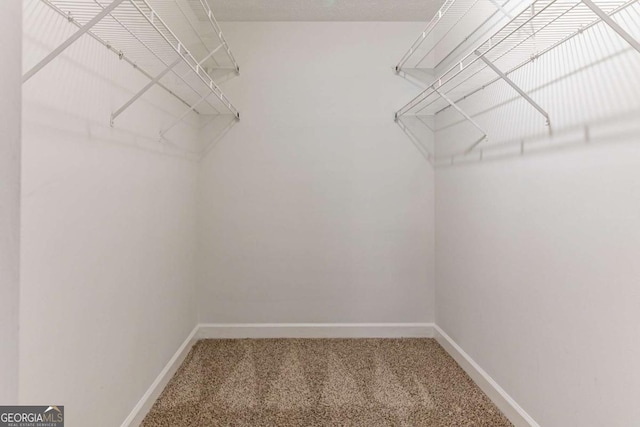 walk in closet featuring carpet