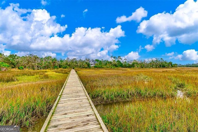 174 Bartram Way, Waverly, GA 31565 - view of dock