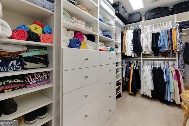 spacious closet with light carpet