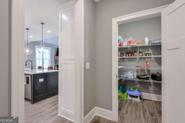 pantry featuring a sink