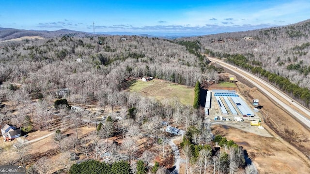 bird's eye view with a mountain view