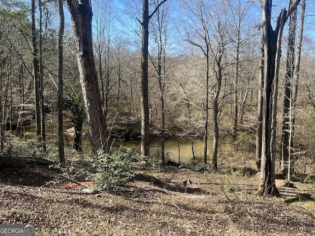 Listing photo 3 for 0 County Rd, Thomaston GA 30286