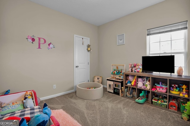 152 Summerhill Dr NE, Ludowici, GA 31316 - rec room with carpet flooring and baseboards