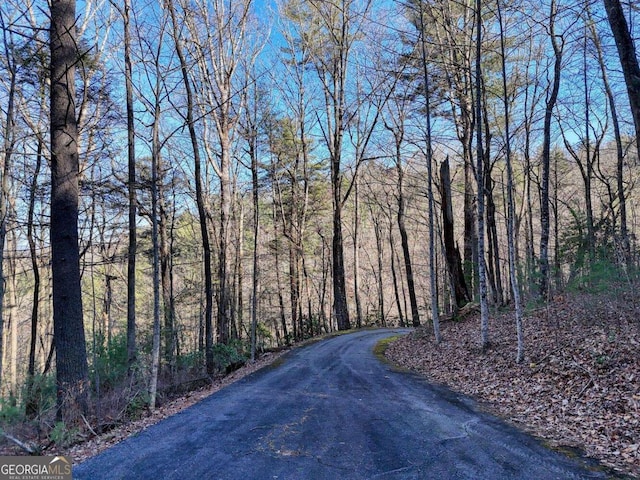 Listing photo 3 for LOT25 Highland Fls, Blairsville GA 30512