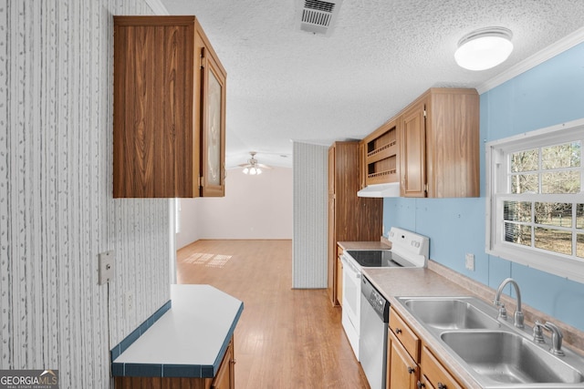 kitchen with light countertops, visible vents, stainless steel dishwasher, a sink, and light wood-type flooring
