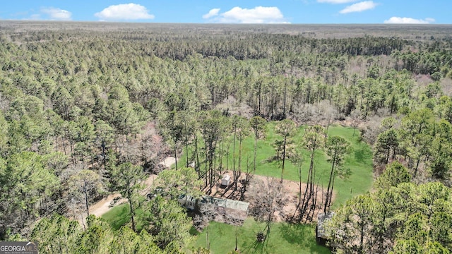 bird's eye view with a view of trees