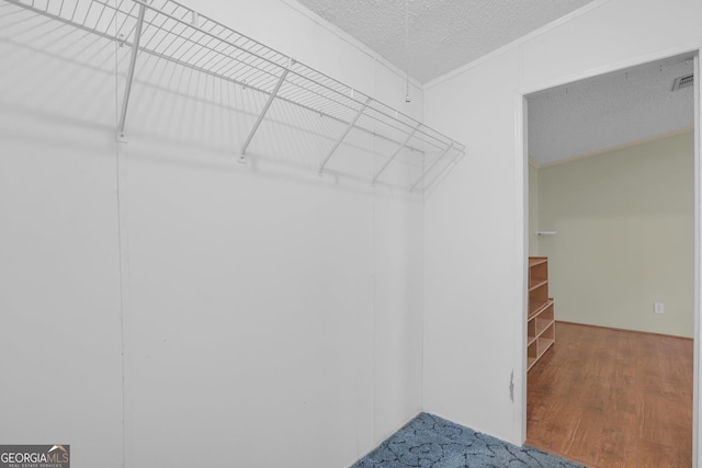 walk in closet featuring wood finished floors and visible vents