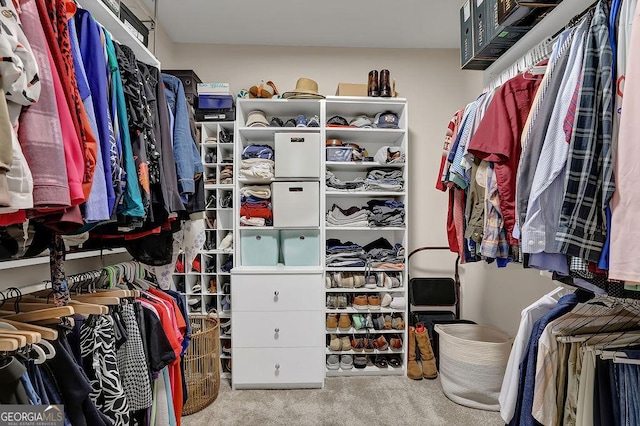 walk in closet with carpet flooring