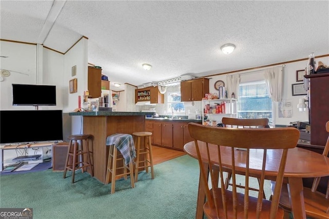 kitchen with vaulted ceiling, a peninsula, dark countertops, and a wealth of natural light