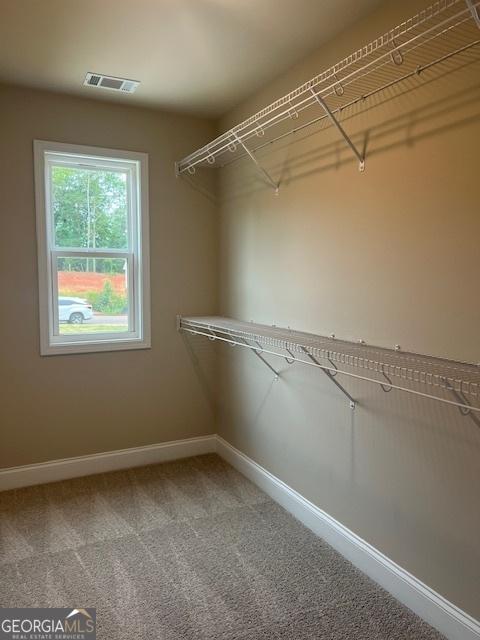 spacious closet featuring carpet flooring and visible vents