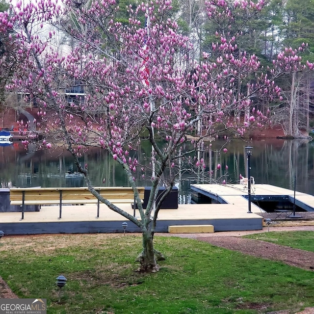 surrounding community with a lawn, a water view, and a floating dock