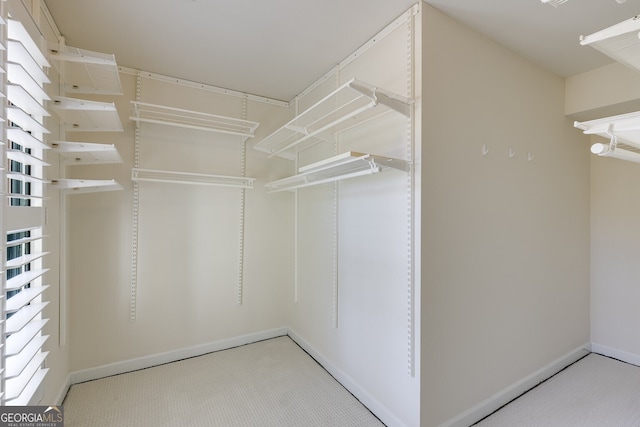 view of spacious closet