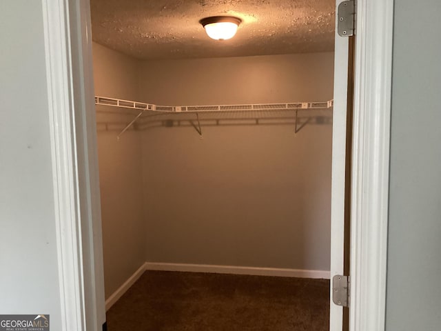 1141 N Clark St, Milledgeville, GA 31061 - spacious closet with dark carpet