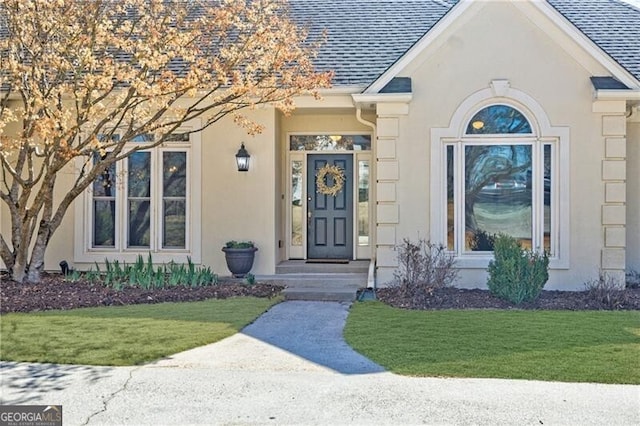 entrance to property with a shingled roof, a lawn, and stucco siding