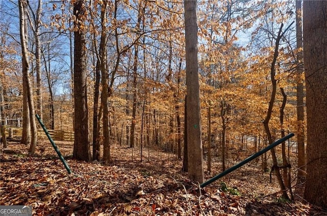 view of local wilderness featuring a view of trees