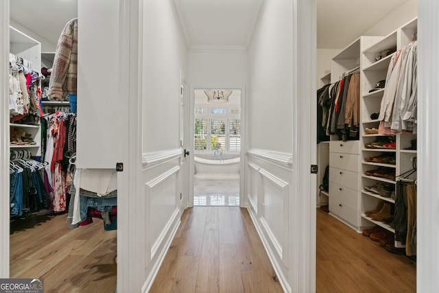 walk in closet with hardwood / wood-style floors