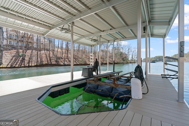 dock area with a water view