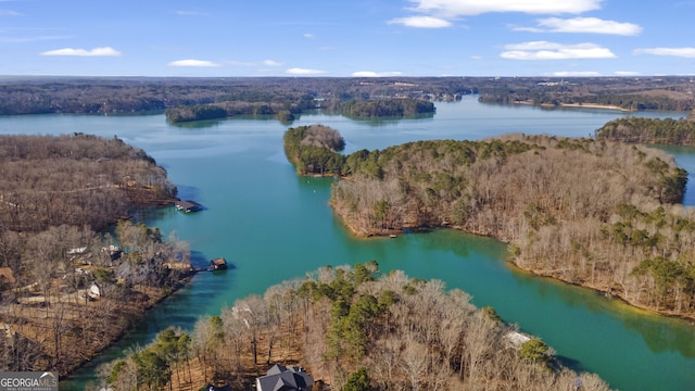 drone / aerial view with a water view and a view of trees