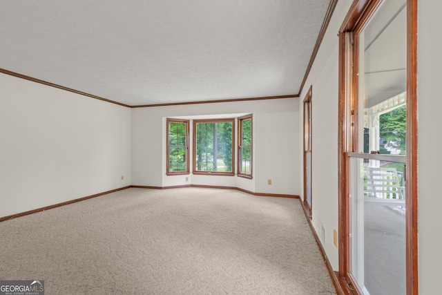 spare room with light colored carpet, crown molding, a textured ceiling, and baseboards