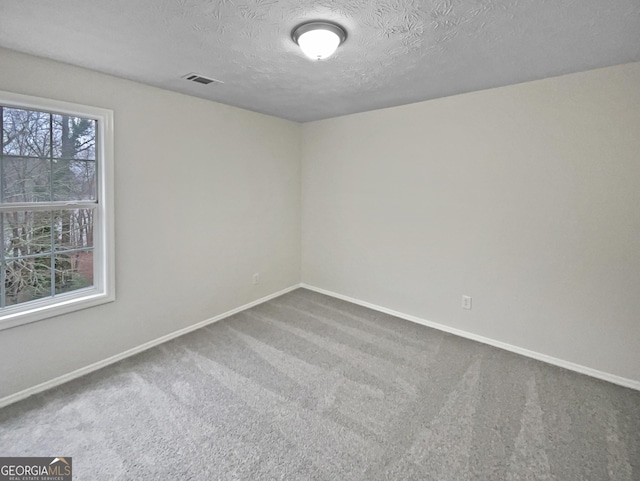 empty room featuring baseboards, a textured ceiling, carpet, and a healthy amount of sunlight