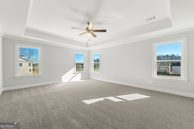 1295 Stonewood Field Rd, Watkinsville, GA 30677 - spare room with a tray ceiling, crown molding, plenty of natural light, and carpet