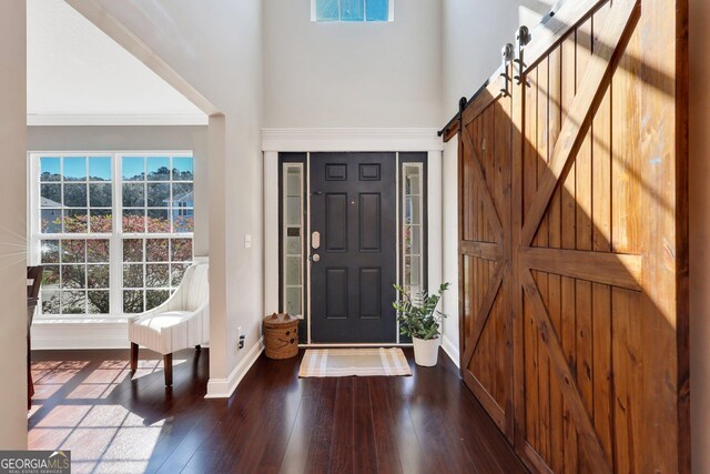 entryway featuring plenty of natural light, baseboards, dark wood-style flooring, and a barn door