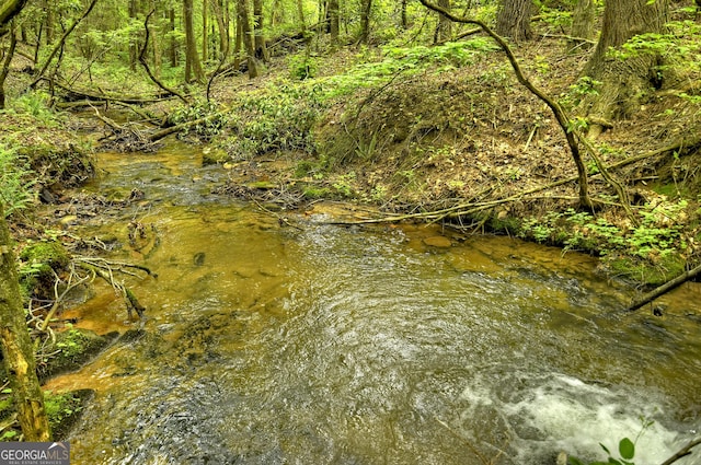 658 Dover Falls Trl, Ellijay, GA 30540 - view of nature