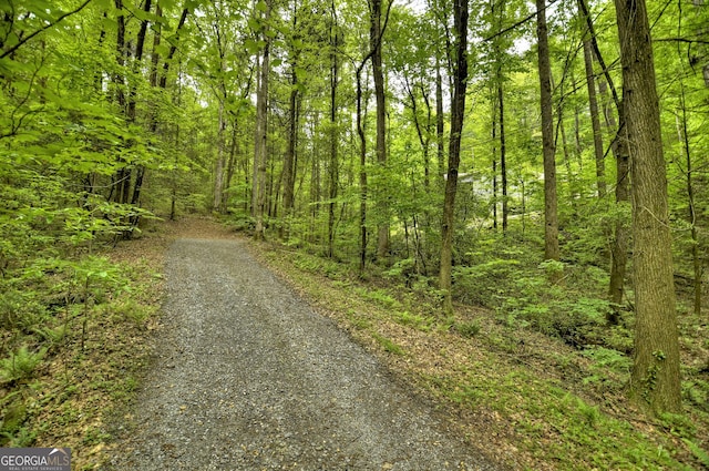 658 Dover Falls Trl, Ellijay, GA 30540 - details with backsplash