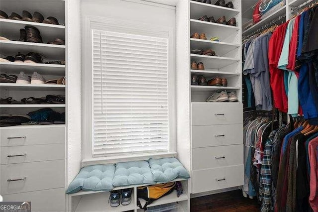 walk in closet with dark wood-style flooring