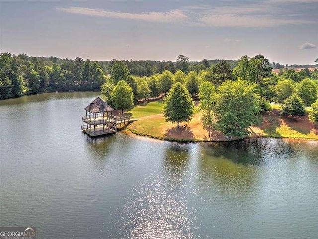 property view of water with a boat dock and a view of trees