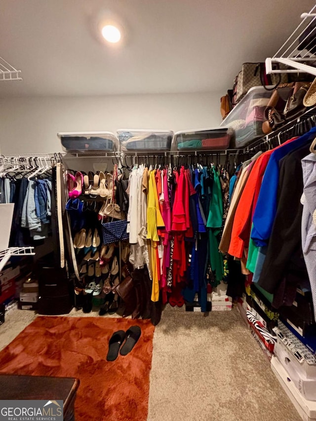 spacious closet featuring carpet