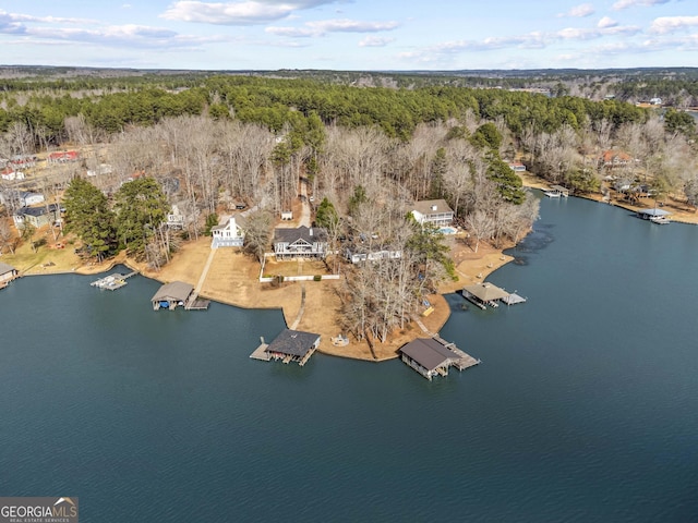 bird's eye view with a forest view and a water view