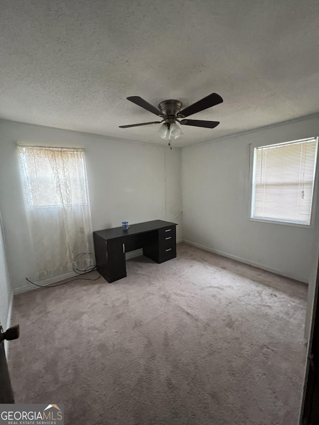 unfurnished office with a wealth of natural light, a textured ceiling, and carpet